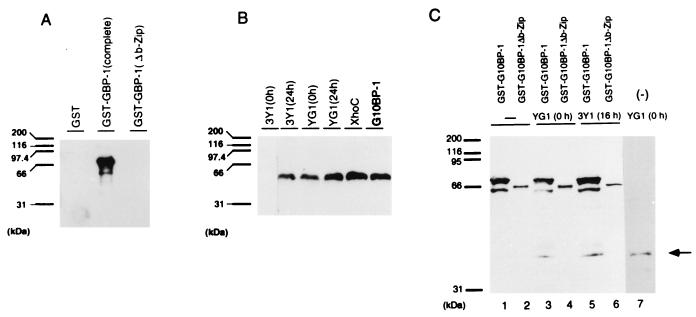FIG. 7