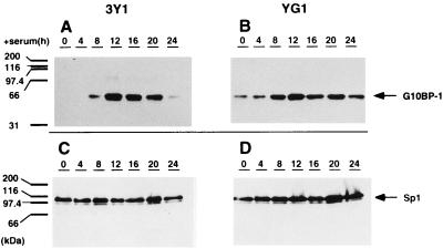 FIG. 5