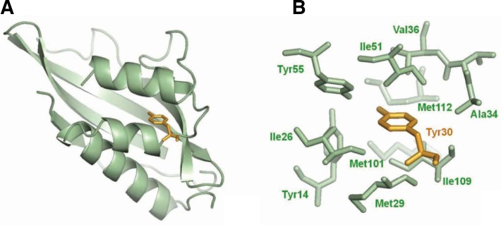 Fig. 5.