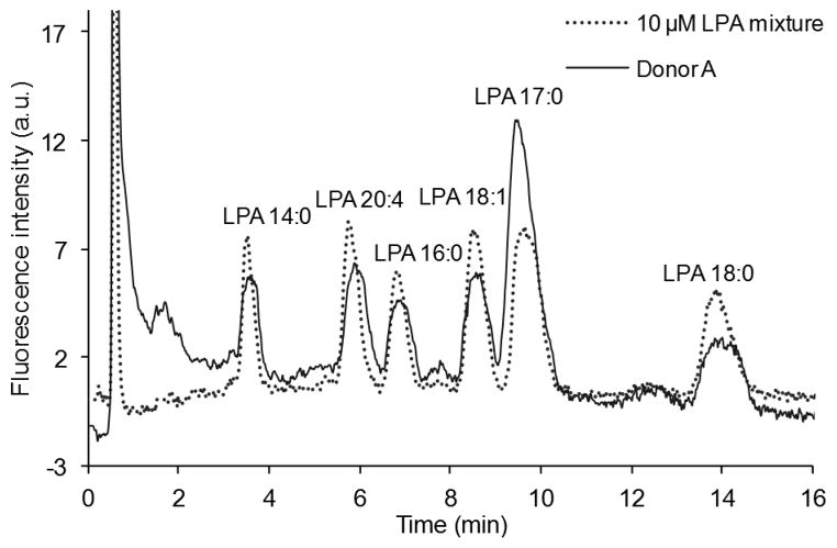 Fig. 8