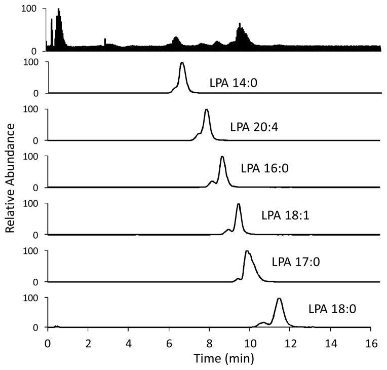 Fig. 10