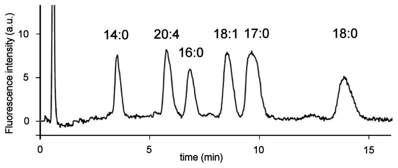 Fig. 4