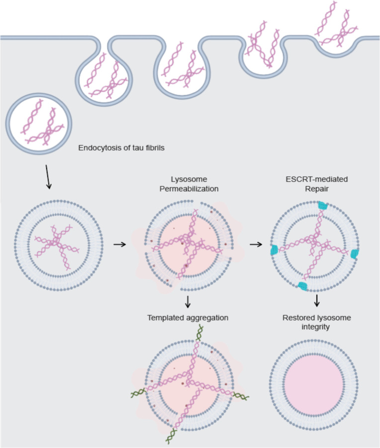 Figure 5: