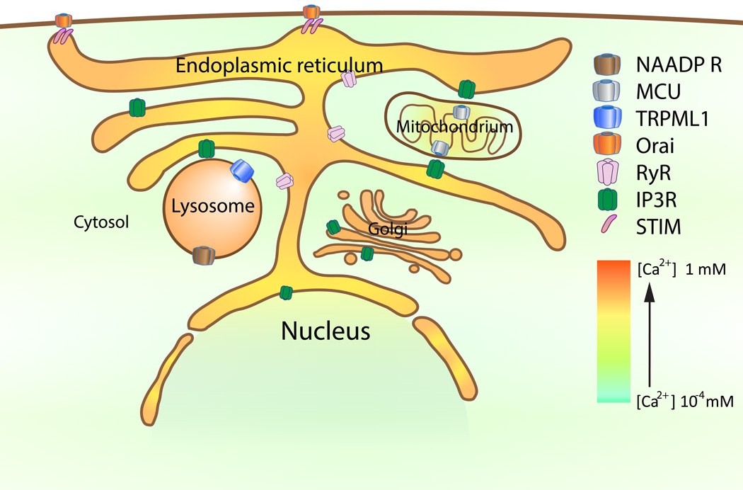 Fig. 2