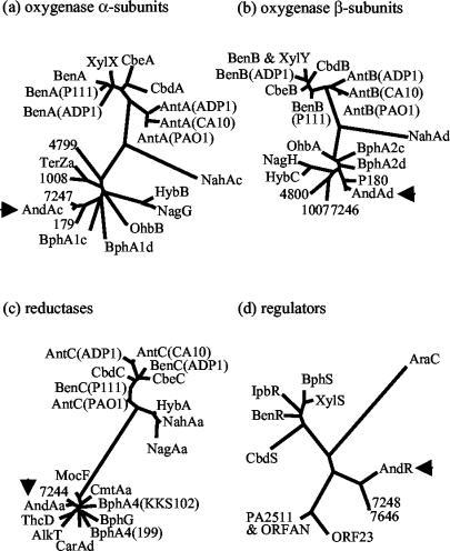 FIG. 4.