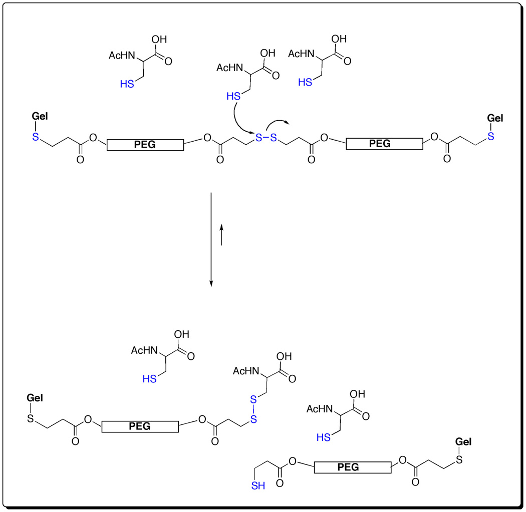 Scheme 5