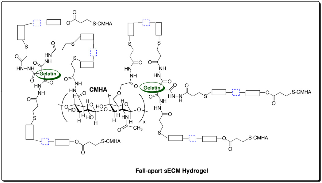 Scheme 4