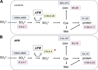 Fig. 6.