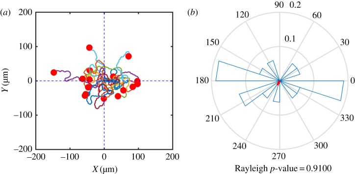 Figure 9.