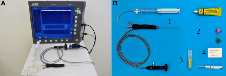 Fig. 2