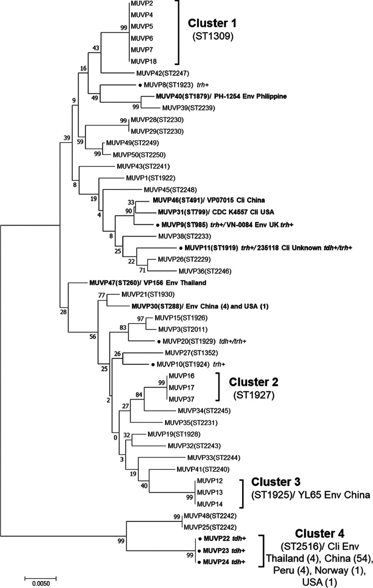 FIG 1