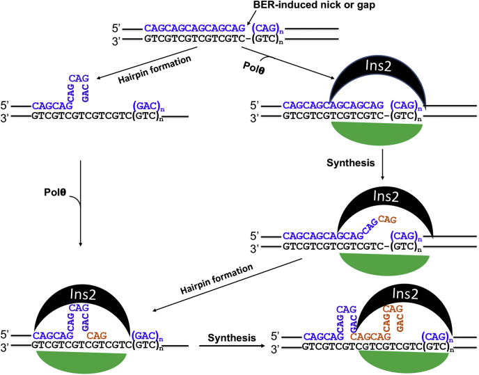 Figure 6