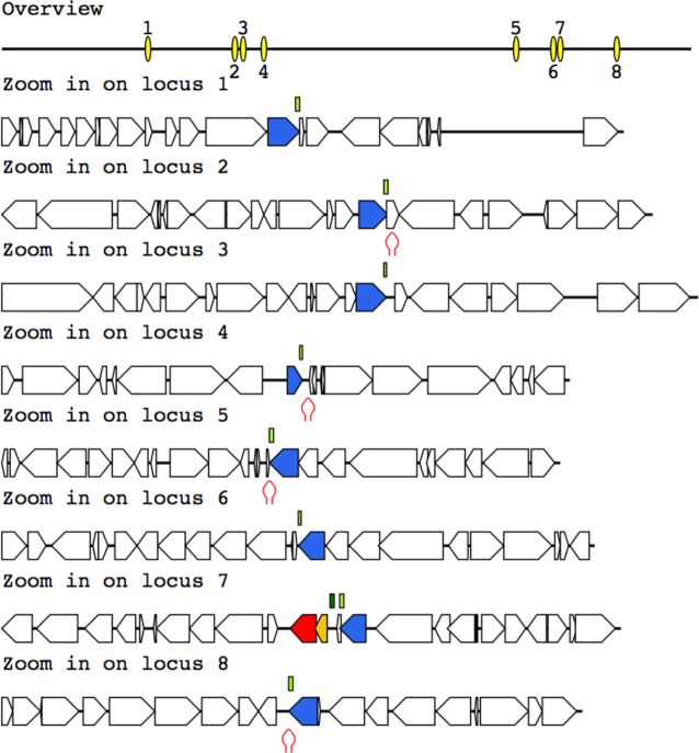 Figure 2.