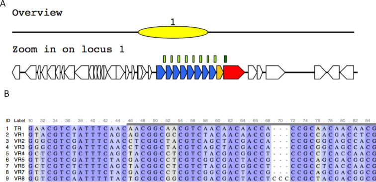 Figure 3.