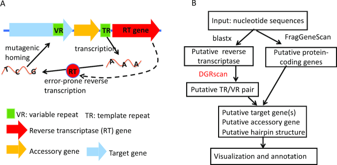 Figure 1.