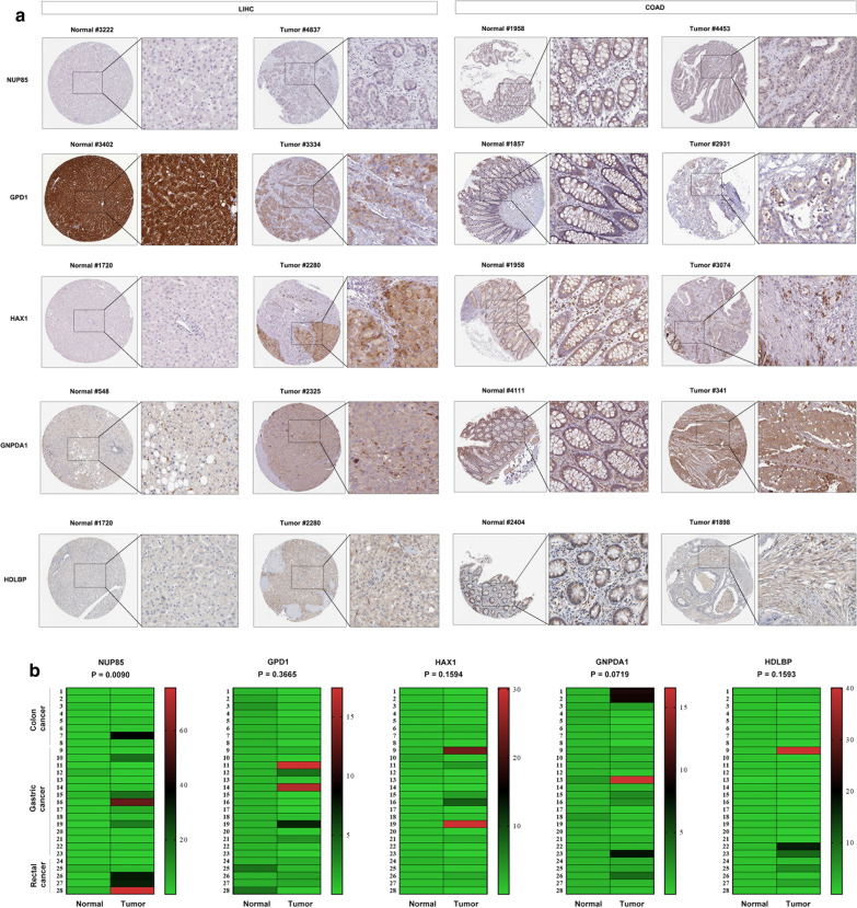 Fig. 7