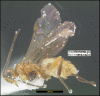 Figure 46.