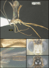 Figure 315.