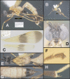 Figure 367.