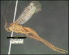 Figure 211.