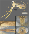 Figure 298.