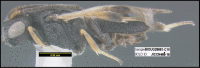 Figure 116.