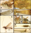 Figure 369.