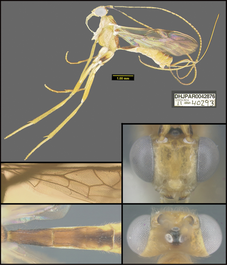 Figure 298.