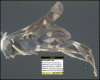 Figure 138.