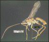Figure 370.