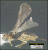 Figure 47.