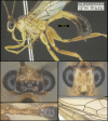 Figure 281.