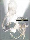 Figure 172.
