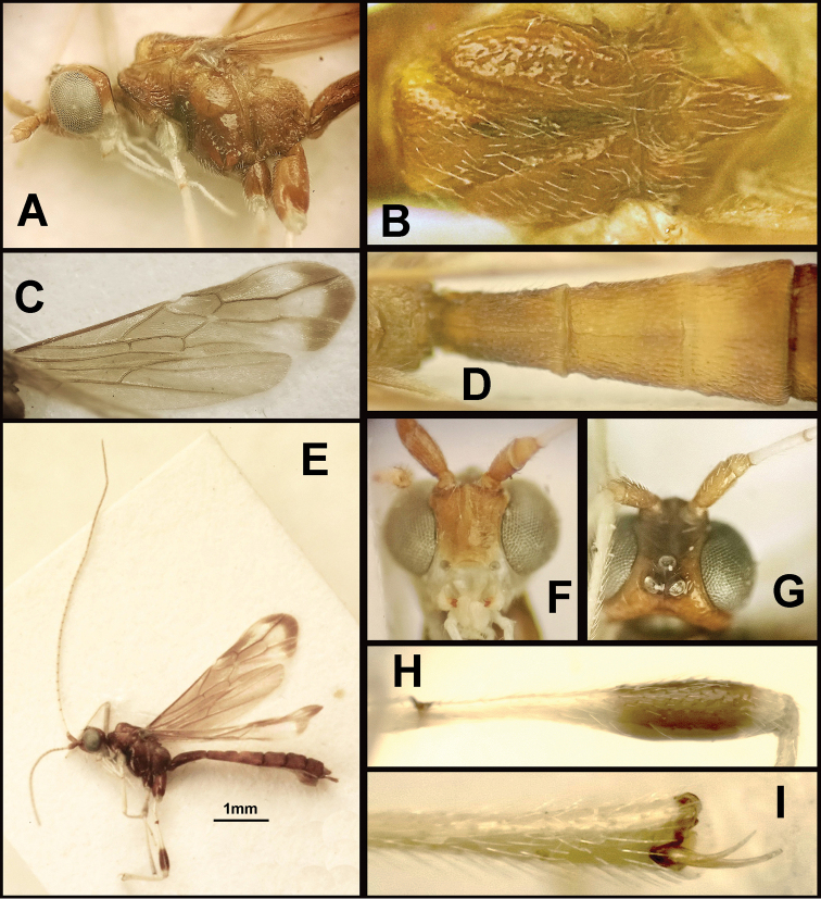 Figure 369.