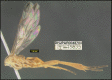 Figure 354.