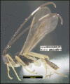 Figure 362.