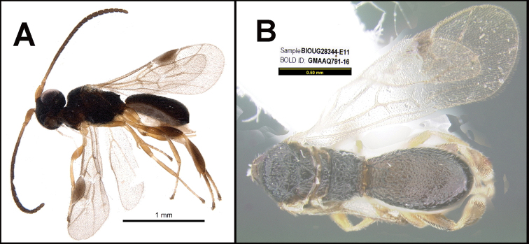 Figure 171.