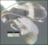 Figure 111.