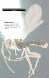 Figure 425.