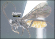 Figure 360.