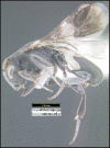 Figure 118.