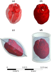 Illustrations of (a) an MRI-based geometrical model of a human heart, (b) the FEA mesh representation of the heart, (c) a heart model contained in a cryobag, and (d) a heart model in a cylindrical container