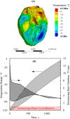 Thermal results for the human heart muscle contained in a cryobag for a modified thermal protocol while assuming properties of VS55 + 0.6 M sucrose: (a) temperature distribution at the end of nanowarming when the lowest temperature in the heart surpasses −35 °C and (b) during the process of nanowarming
