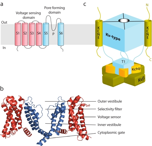 FIGURE 1.