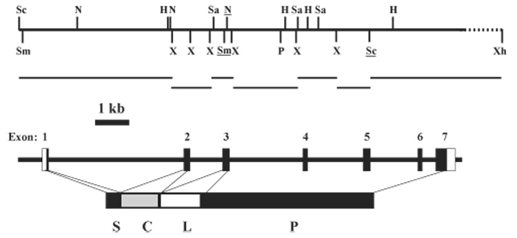 Fig. 1.