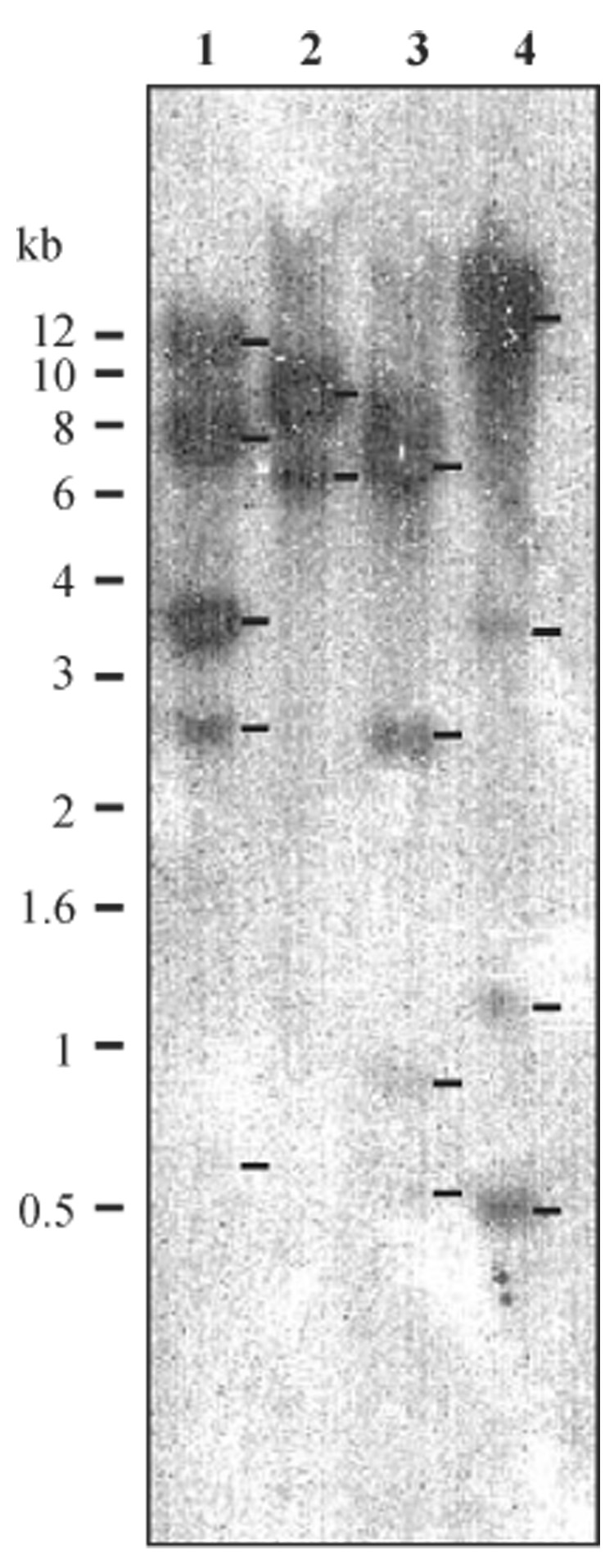 Fig. 4.