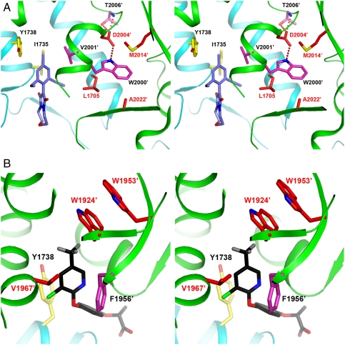 Fig. 4.