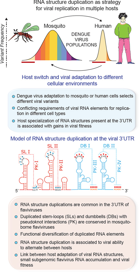 Figure 4, Key Figure