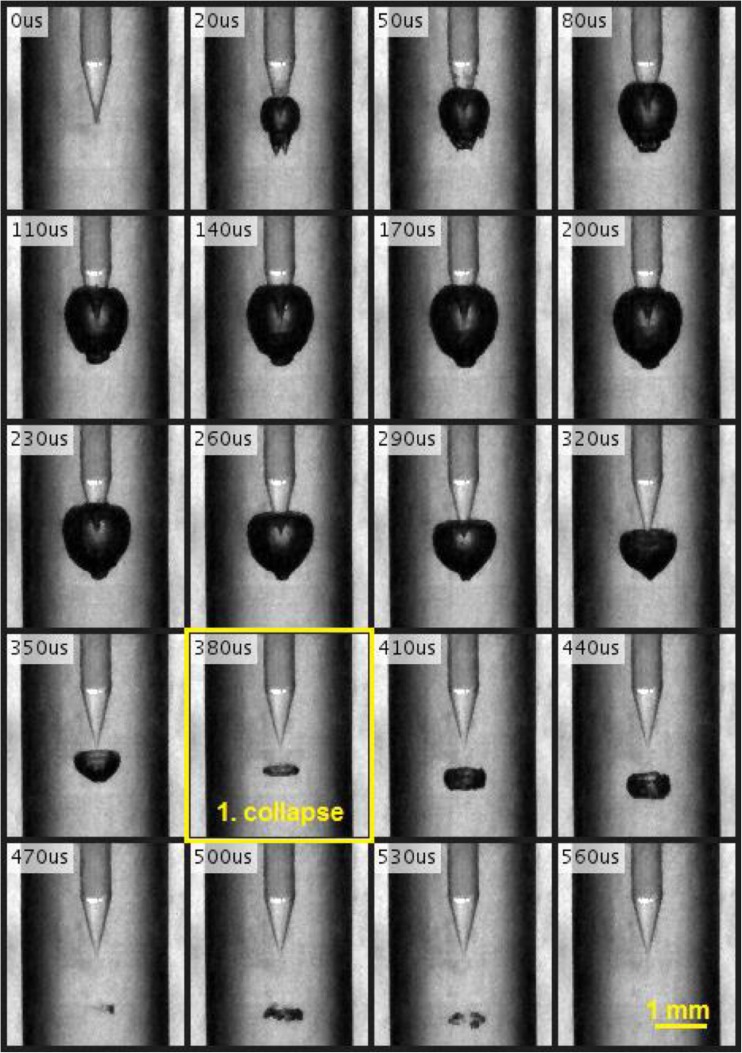 Fig. 5