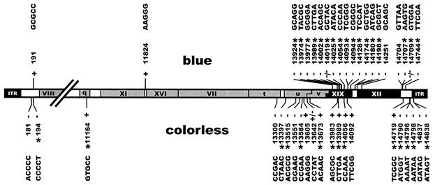 FIG. 7.